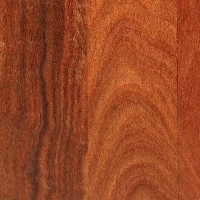 Elemental Blog Photo